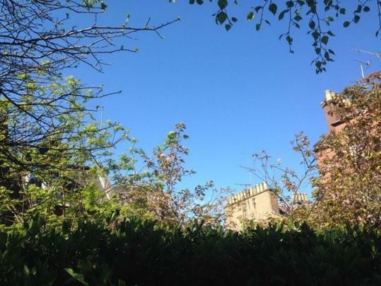 Appartamento The Cosy Courtyard Edimburgo Esterno foto